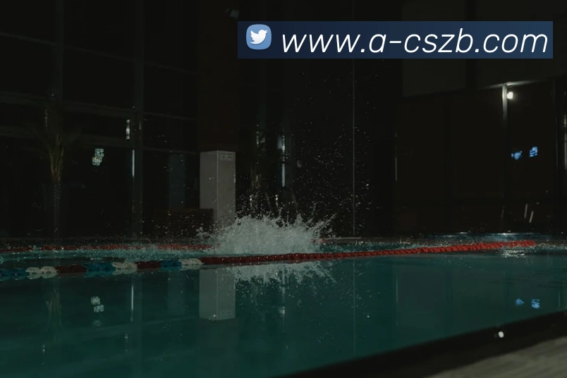 App Interface Preview